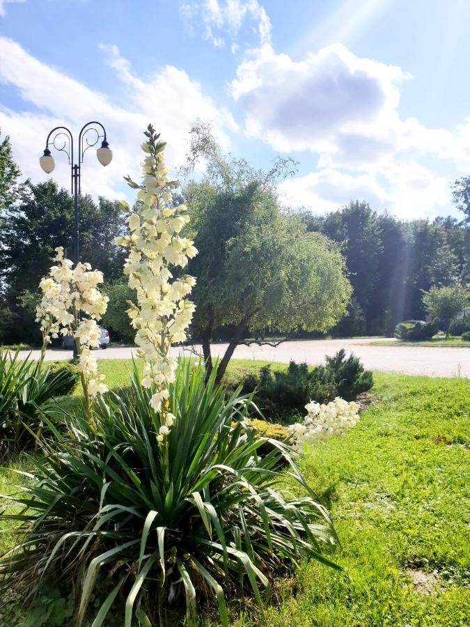 Willa Park Ostrowiec Świętokrzyski Buitenkant foto