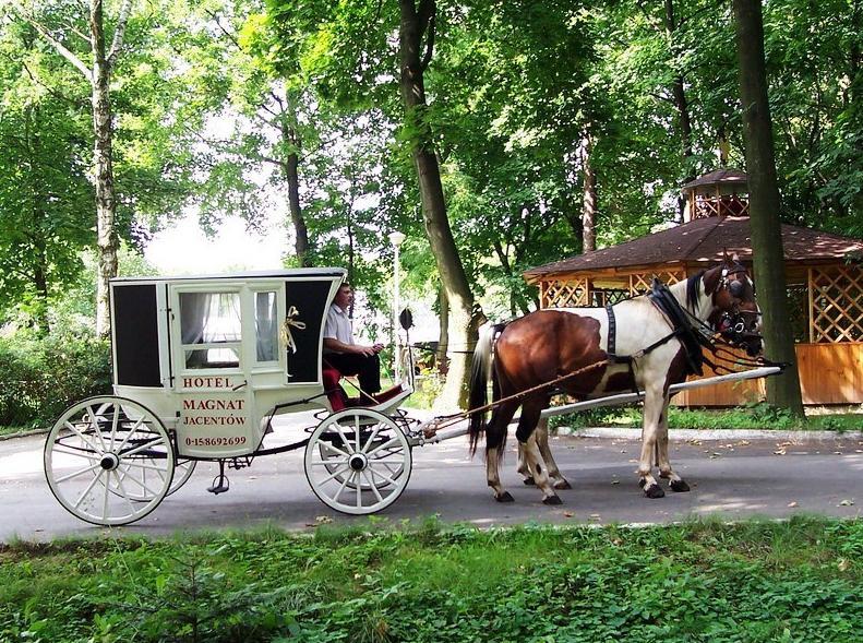 Willa Park Ostrowiec Świętokrzyski Buitenkant foto